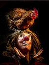 Être Vivant : Paroles des oiseaux de la terre - 