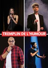 Tremplin de l'humour - 