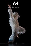 A4 comme la feuille - 
