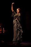 Flamenco, flamenco ! - 