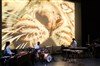 La Fête sauvage - 