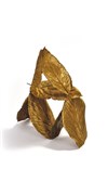 La belle transition - 