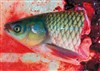 Tarquin - 