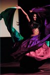 Stage d'été : Voiles en danse orientale - 
