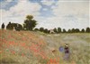 Visite guidée de Exposition Paris 1874 : inventer l'Impressionnisme - 