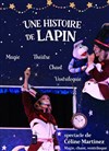 Une histoire de lapin - 