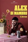 Alex di Mambro - 