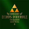 Echos d'Hyrule | Lyon - 