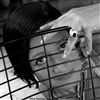 Michèle Anna - 