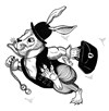Alice au Pays des Merveilles - 