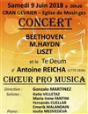 Choeur Pro Musica : Liszt, Beethoven, Haydn, Reicha - 