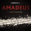 Amadeus, le destin d'un prodige - 