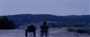 Grande Ourse - 