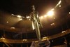 Les Mandrakes d'Or - 