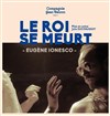 Le roi se meurt - 