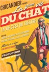 Chicandier présente la 9ème vie du chat - 