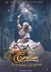 Cendrillon ou la bonne fée infiltrée - 