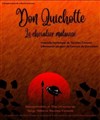 Don Quichotte, le chevalier mal avisé - 