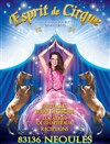 La merveilleuse histoire du cirque - 