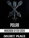 Polar - 