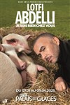 Lotfi Abdelli dans Je suis bien chez vous - 
