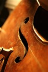 Brahms et son double - 