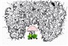 Marie des grenouilles - 