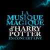 The magical music of Harry Potter | Yerres -