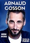 Arnaud Cosson dans Nouveau spectacle - 