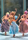 Malandain Ballet Biarritz : Marie-Antoinette - 