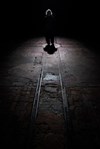 L'espèce humaine - 