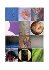Exposition | Galerie Lehalle - 