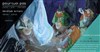 Veillée Contes #5 et Concert : Légendaire Irlande ! - 