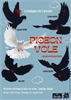 Pigeon vole - 