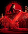 Les coeurs andalous - 