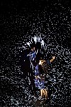 Acqua Alta - 