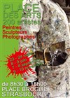 Expositions Places des Arts 2013 - 