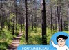 Jeu de piste en forêt de Fontainebleau - 