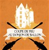 Quidditch et Escape Game au Donjon de Ballon - 