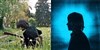 Philippe Crab + Zachary Cale - 