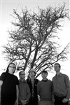 Five in orbit - 