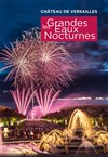 Les grandes eaux nocturnes de Versailles -