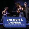 Une nuit à l'Opéra - 