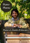 Piano Plume - 