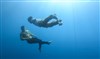 Out of the Blue - 