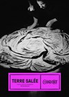 Terre salée - 