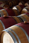 Atelier dégustation : les secrets des Bordeaux - 