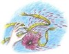 Sonnez Sonnets, poèmes d'Elizabeth de Courtivron - 