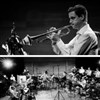 The Vintage Orchestra - 
