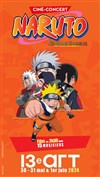 Naruto Symphonic Experience - 